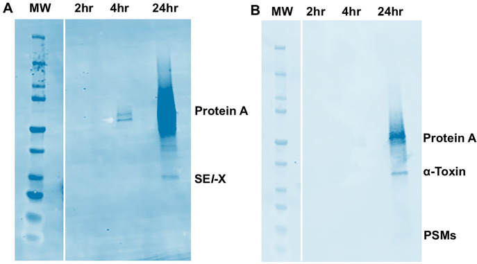 Fig 7