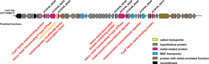 Fig 4