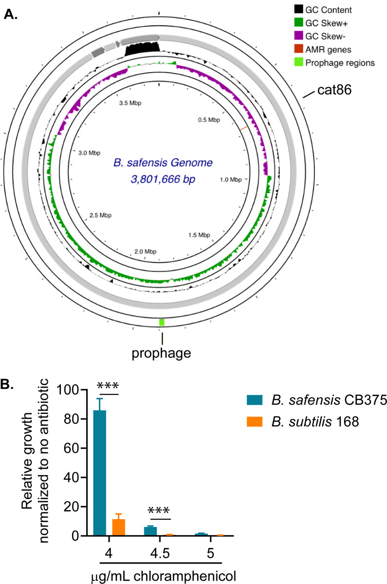 Fig 6