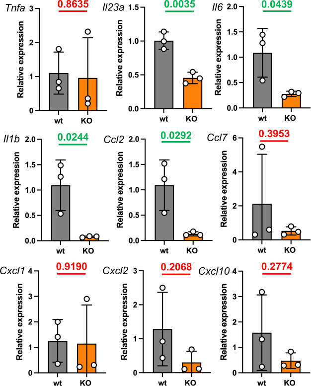 Fig 6