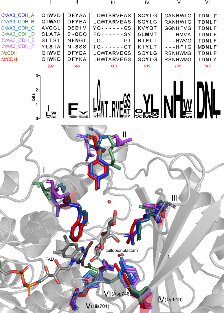 Fig 4