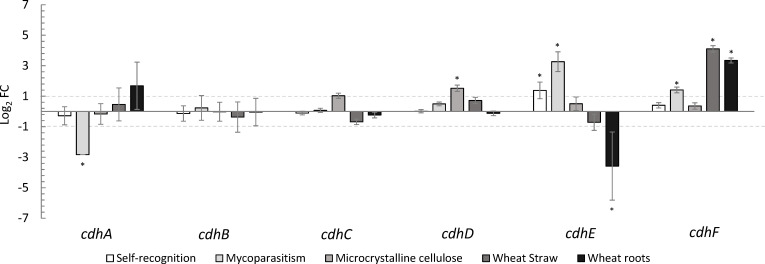 Fig 6