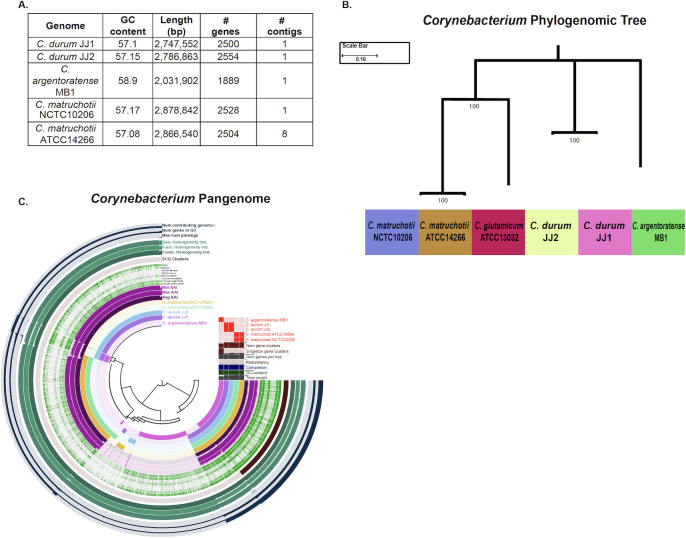 Fig 6