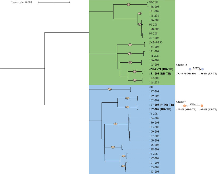 Fig 3