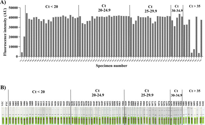 Fig 5