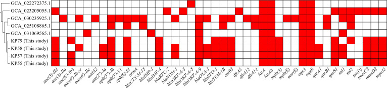 Fig 4