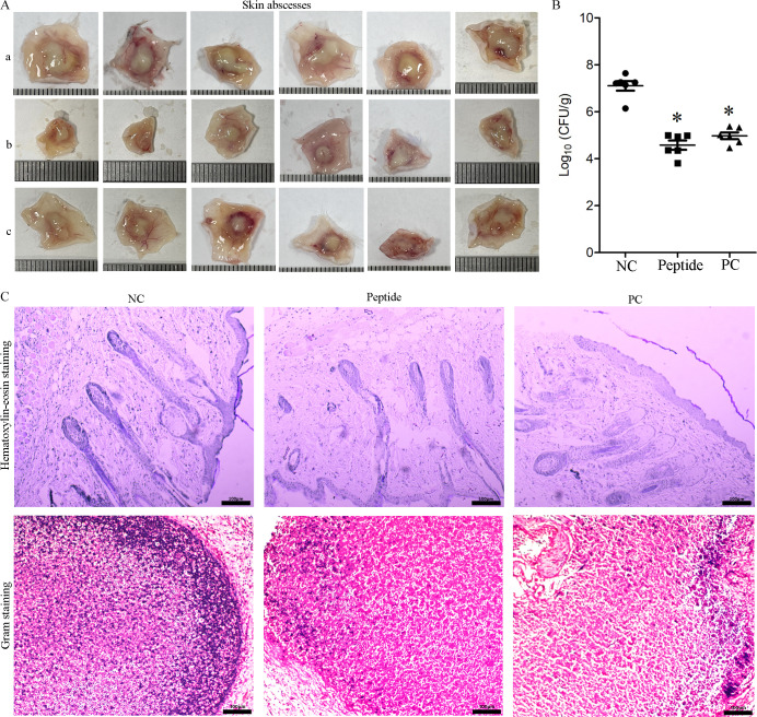 Fig 8