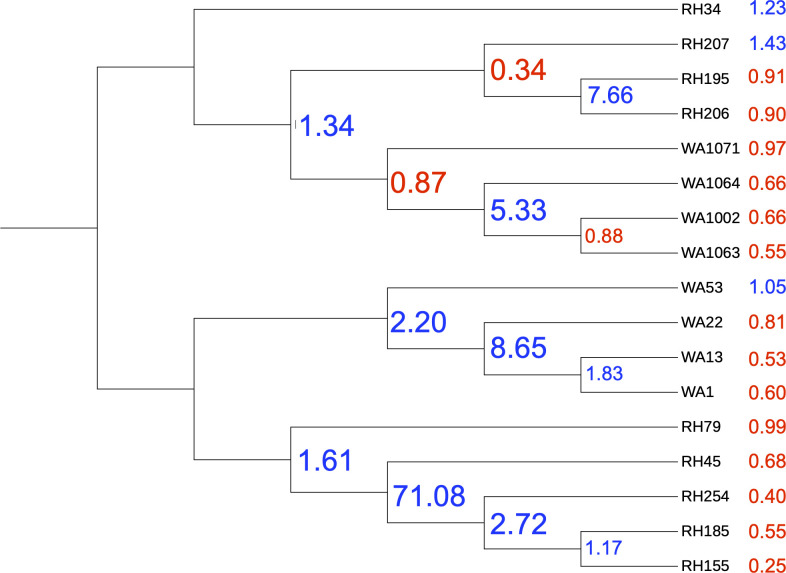 Fig 5