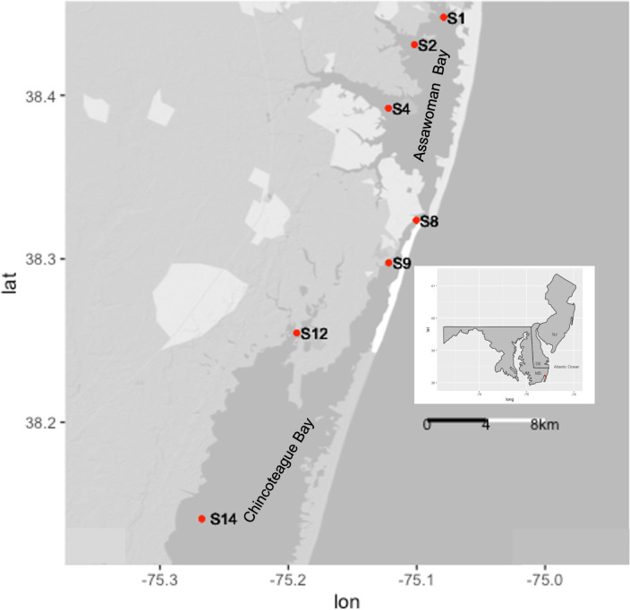 Fig 1