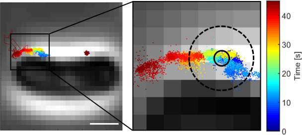 Fig 5