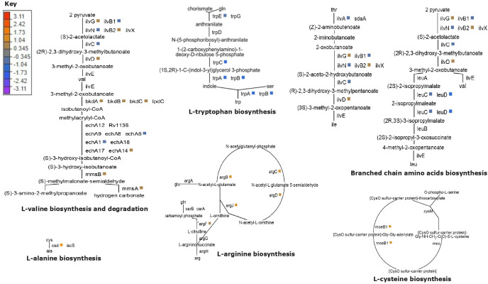Fig 3