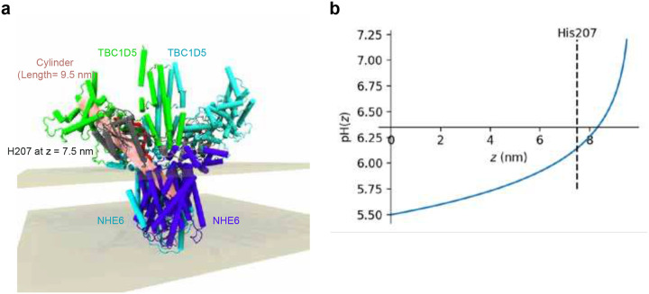 Figure 7
