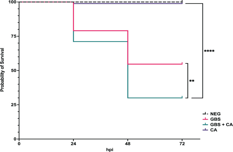 Fig 8