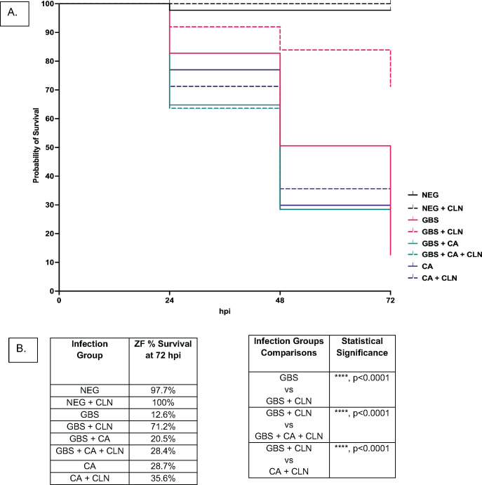 Fig 10