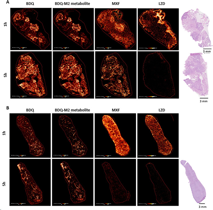 Fig 6