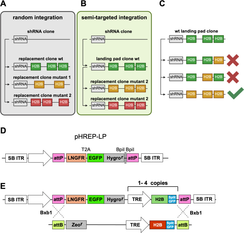 Fig 6