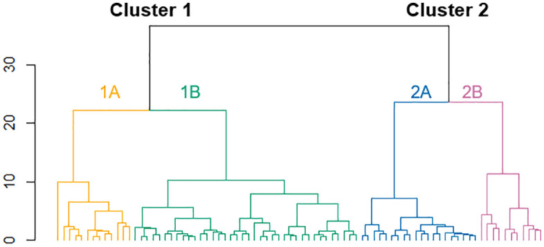 Fig 5