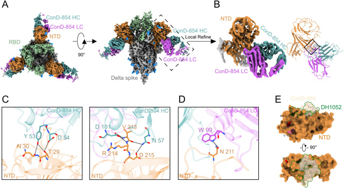 Fig 4