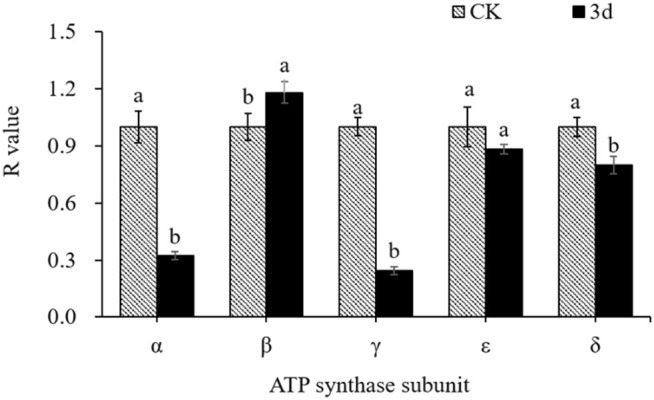 Fig 11