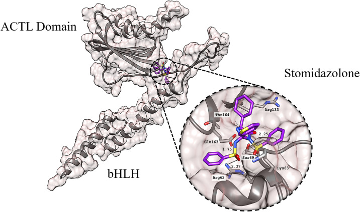 Fig 2