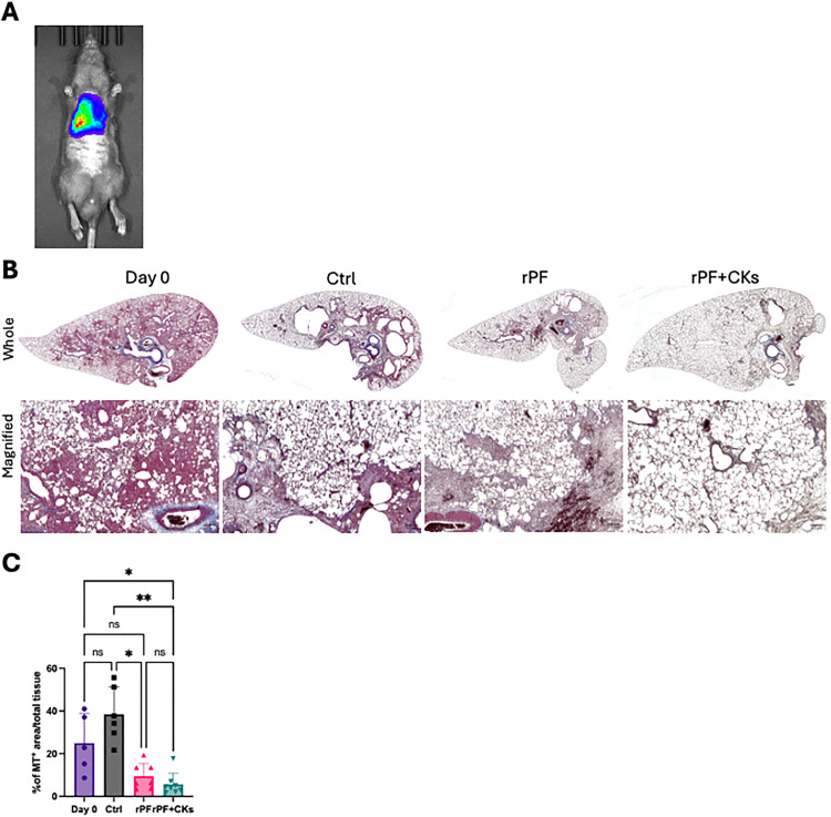 Fig 4