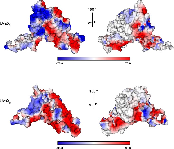 Figure 10