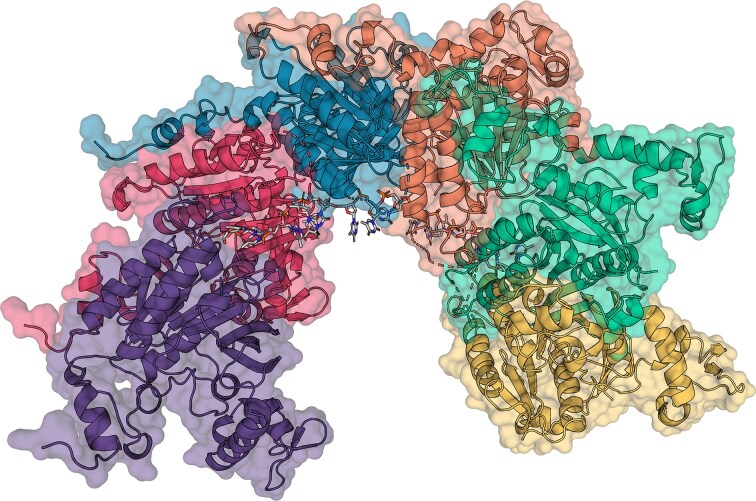 Figure 11