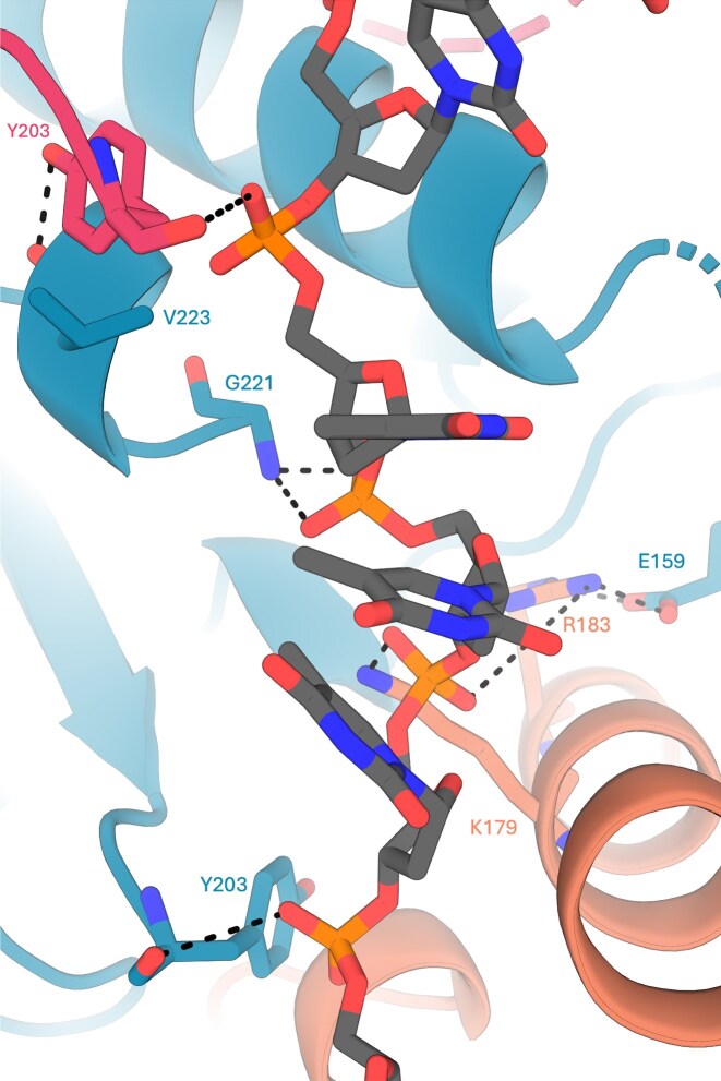 Figure 12