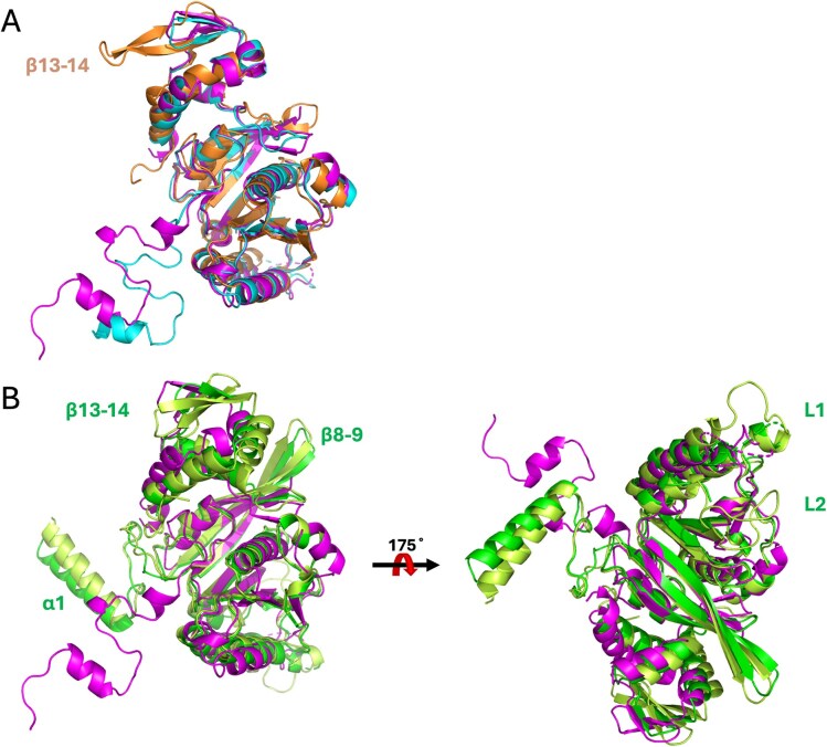 Figure 13