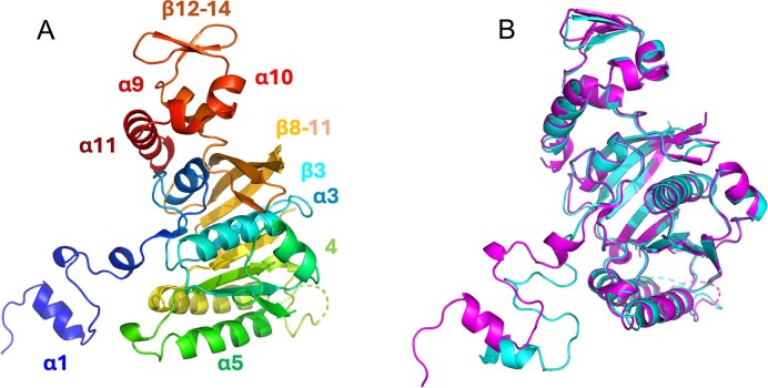 Figure 9