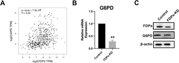 FIGURE 6