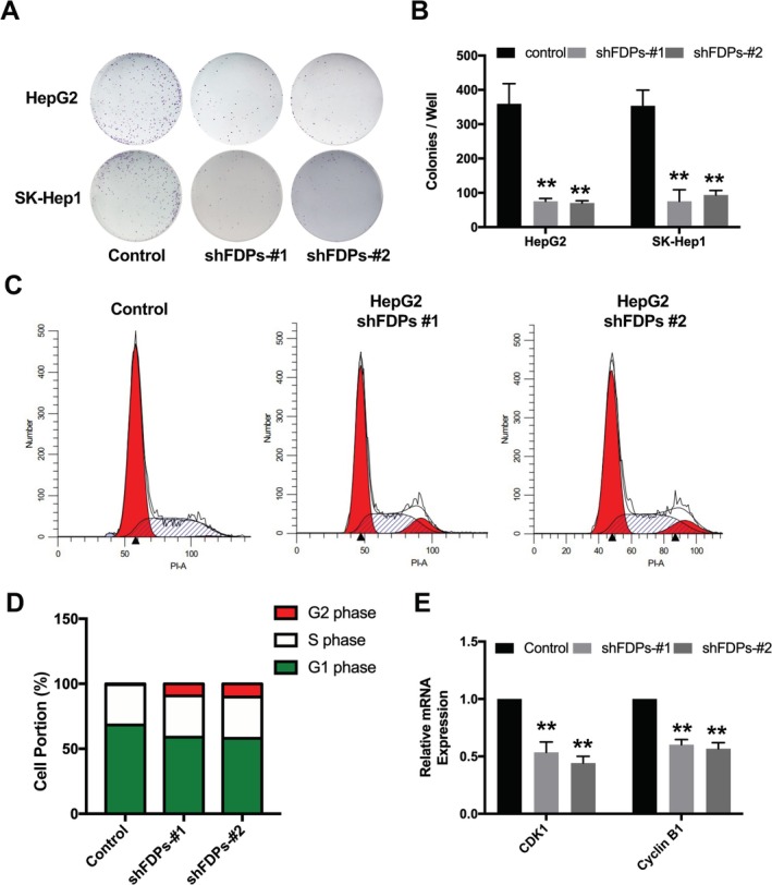FIGURE 2