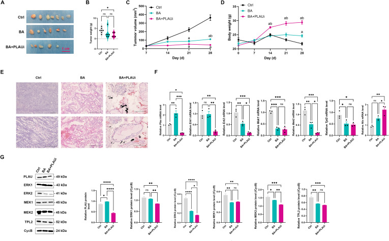 Figure 6