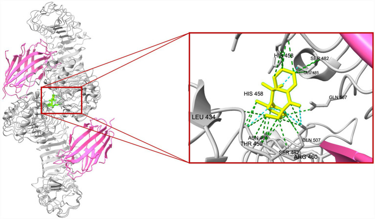 Figure 5