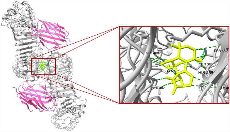 Figure 6