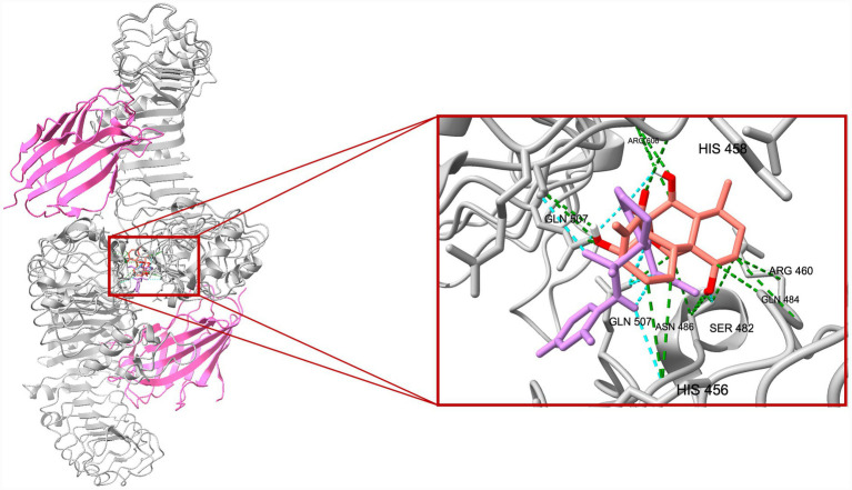Figure 7