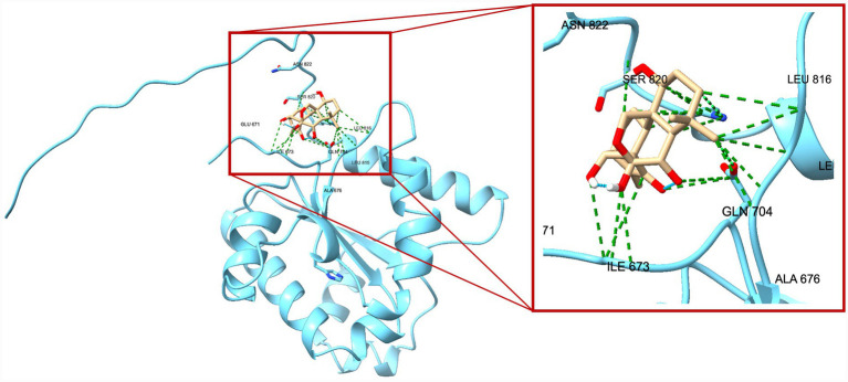 Figure 9