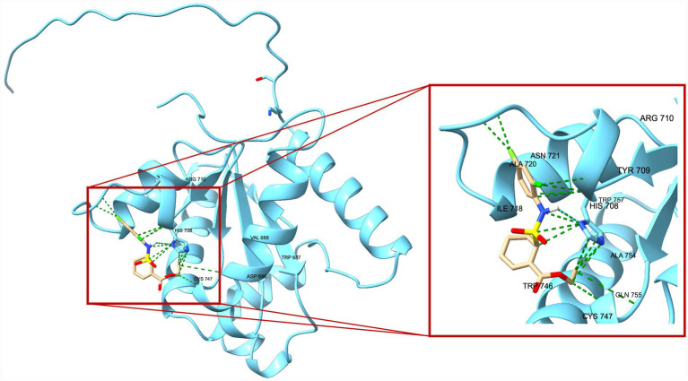 Figure 10
