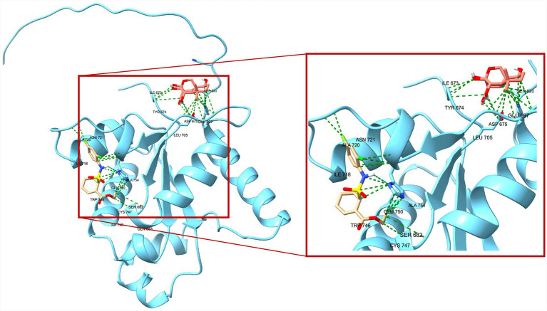 Figure 11