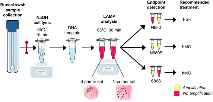 Figure 1