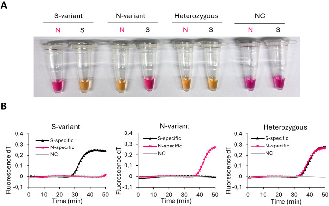 Figure 2
