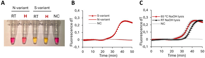Figure 4