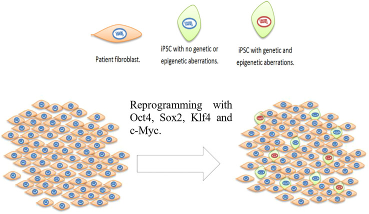 Figure 1