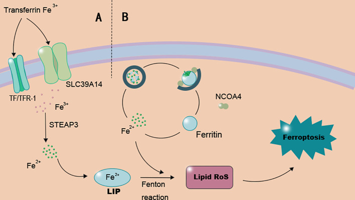 Figure 1