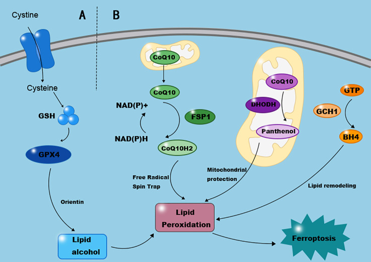 Figure 2
