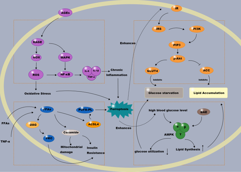 Figure 3