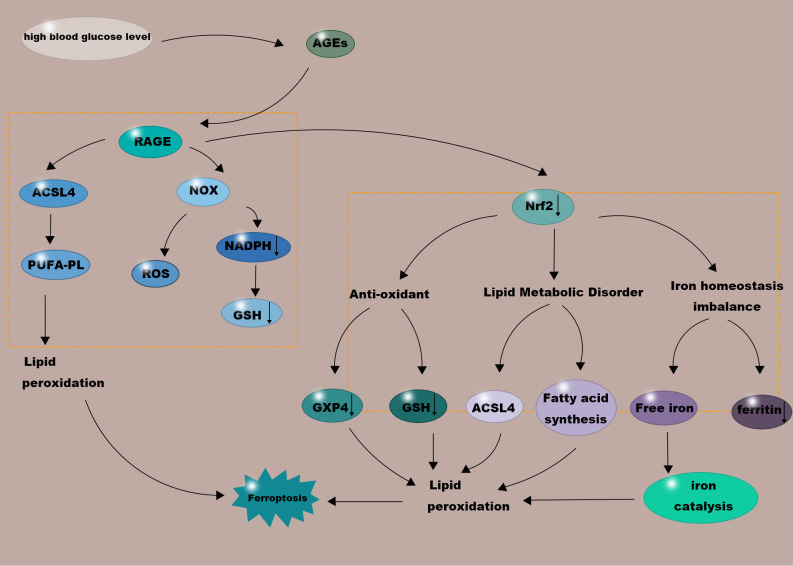 Figure 4