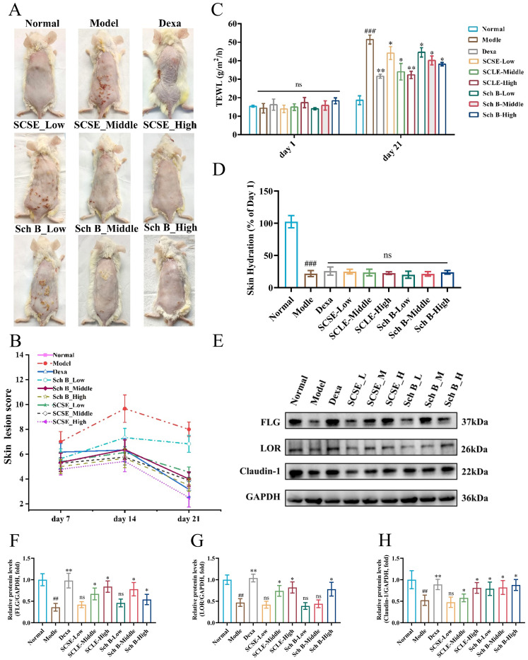 Figure 2