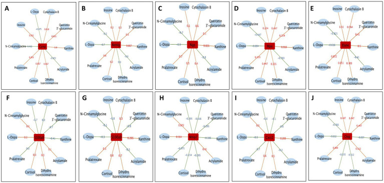 Figure 10
