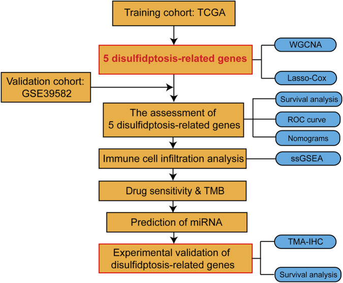 FIGURE 1